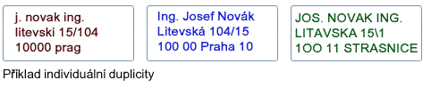 Individuální duplicita
